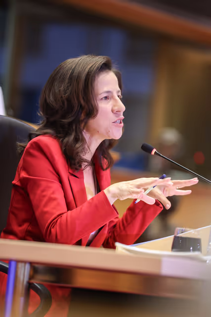 Nuotrauka 32: EMPL CULT -  Confirmation hearing of Roxana MÎNZATU, European Commissioner-designate forPeople, Skills and Preparedness