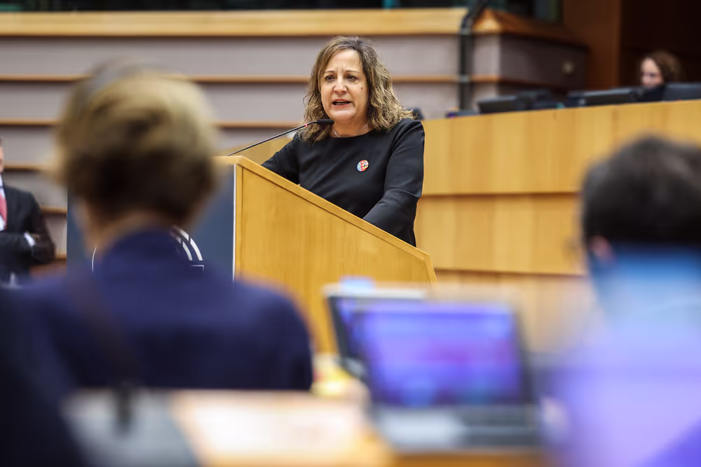 EP Plenary session - The devastating floods in Spain, the urgent need to support the victims, to improve preparedness and to fight the climate crisis