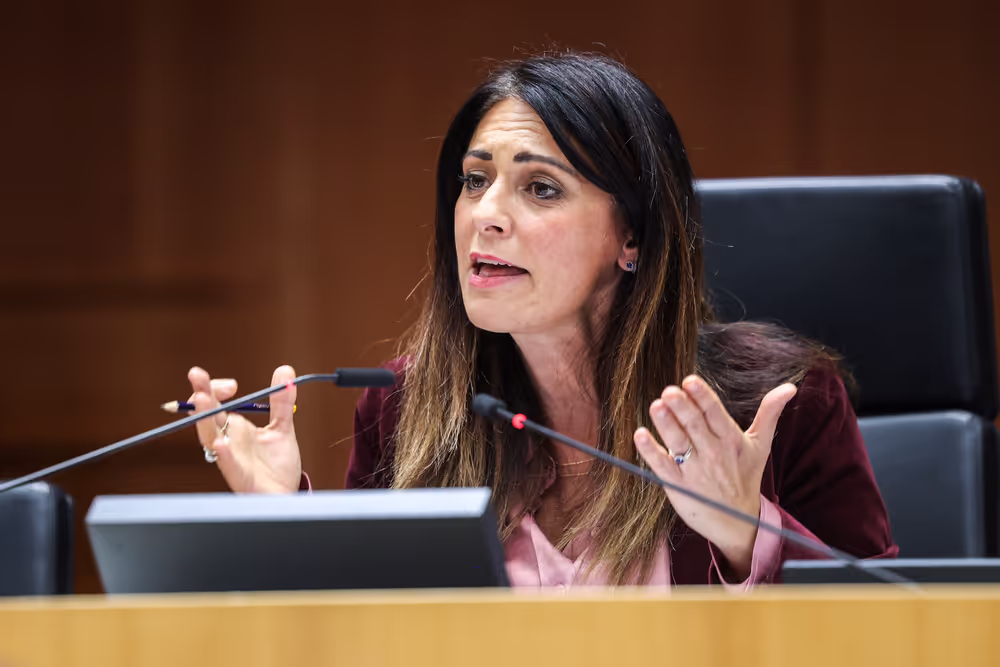 EP Plenary session - The devastating floods in Spain, the urgent need to support the victims, to improve preparedness and to fight the climate crisis