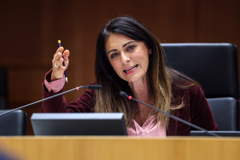EP Plenary session - The devastating floods in Spain, the urgent need to support the victims, to improve preparedness and to fight the climate crisis