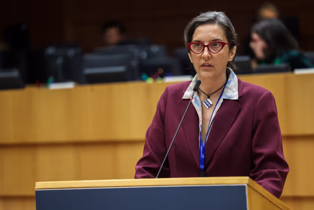 Fotó 22: EP Plenary session - The devastating floods in Spain, the urgent need to support the victims, to improve preparedness and to fight the climate crisis