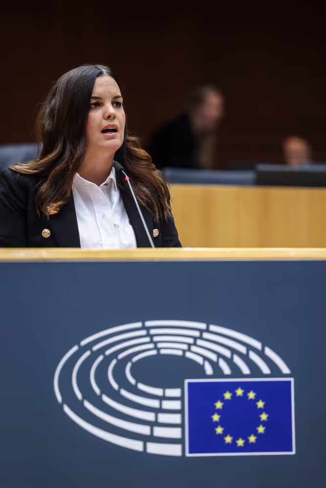 EP Plenary session - The devastating floods in Spain, the urgent need to support the victims, to improve preparedness and to fight the climate crisis