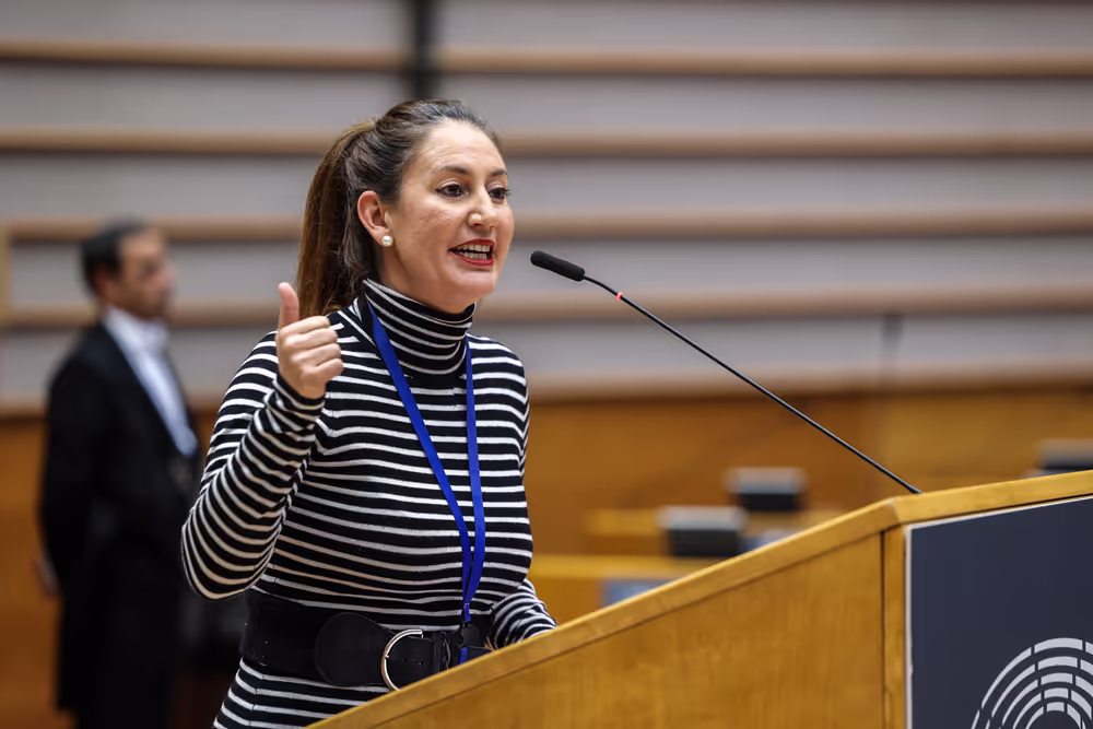 EP Plenary session - The devastating floods in Spain, the urgent need to support the victims, to improve preparedness and to fight the climate crisis