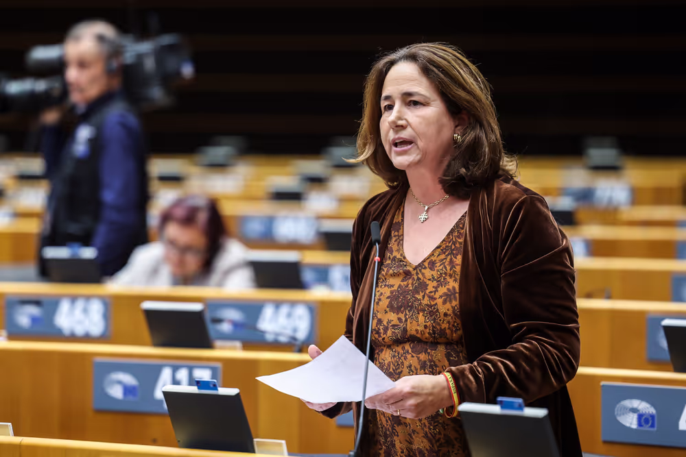 EP Plenary session - The devastating floods in Spain, the urgent need to support the victims, to improve preparedness and to fight the climate crisis