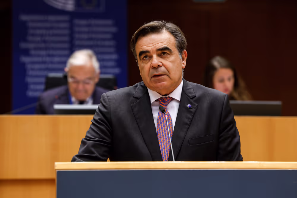 EP Plenary session - Georgia’s worsening democratic crisis following the recent parliamentary elections and alleged electoral fraud