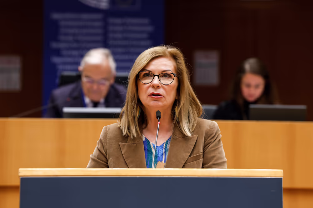 EP Plenary session - Georgia’s worsening democratic crisis following the recent parliamentary elections and alleged electoral fraud