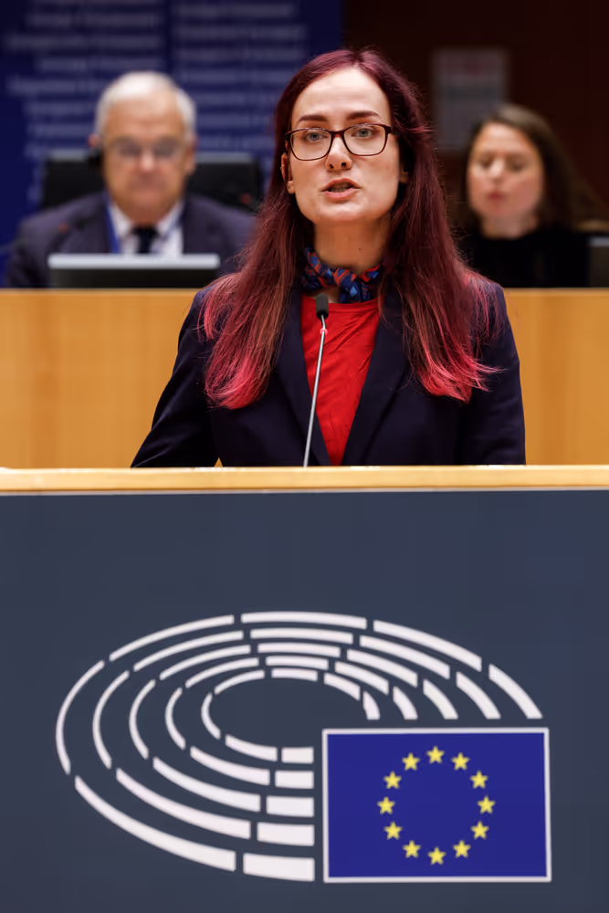 EP Plenary session - Georgia’s worsening democratic crisis following the recent parliamentary elections and alleged electoral fraud