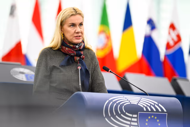 EP Plenary session - The New European Competitiveness Deal - A future for the farming and manufacturing sectors in the EU