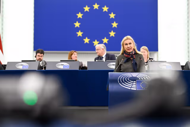 EP Plenary session - The New European Competitiveness Deal - A future for the farming and manufacturing sectors in the EU