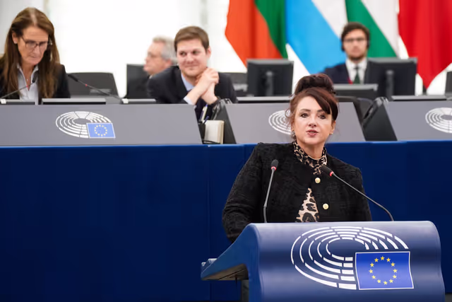 EP Plenary session - Critical infrastructure vulnerabilities and hybrid threats in the Baltic Sea