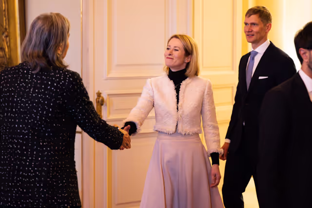 Fotografie 31: New Year reception at the Belgian Royal Palace for European Authorities