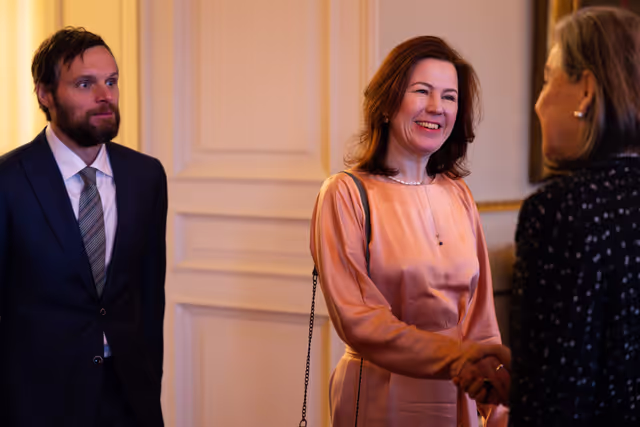 Fotografie 28: New Year reception at the Belgian Royal Palace for European Authorities