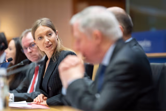 Zdjęcie 13: ECON - Public Hearing on The future of the Capital Markets Union (CMU)
