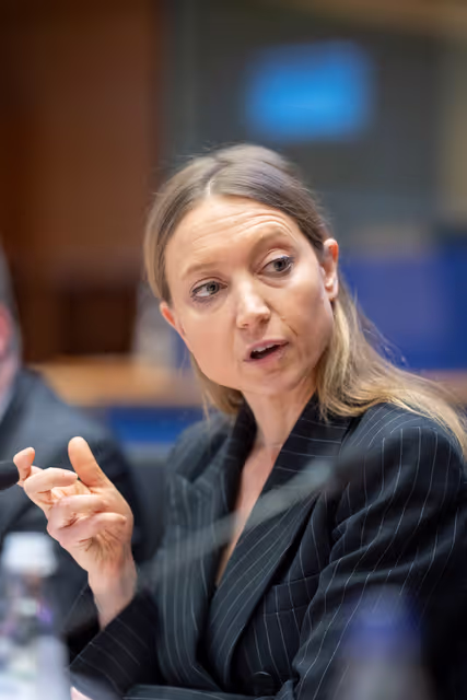 Zdjęcie 1: ECON - Public Hearing on The future of the Capital Markets Union (CMU)