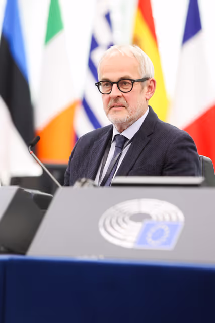 Billede 8: EP Plenary session - Heat record year 2024 - the need for climate action to fight global warming