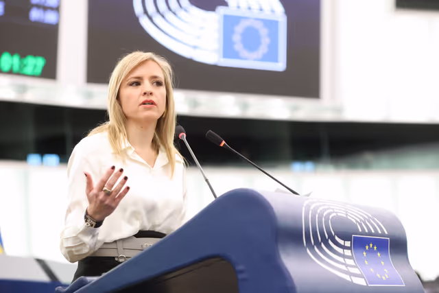 Billede 3: EP Plenary session - Heat record year 2024 - the need for climate action to fight global warming