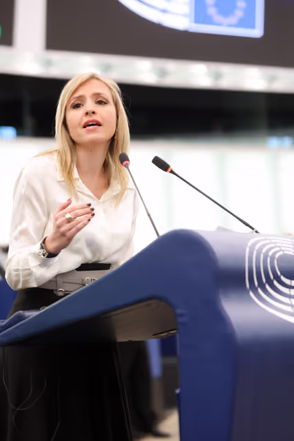 Billede 1: EP Plenary session - Heat record year 2024 - the need for climate action to fight global warming