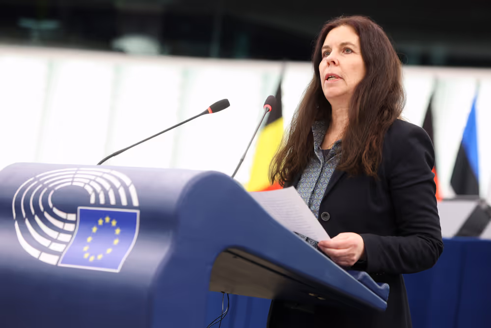 EP Plenary session - Heat record year 2024 - the need for climate action to fight global warming