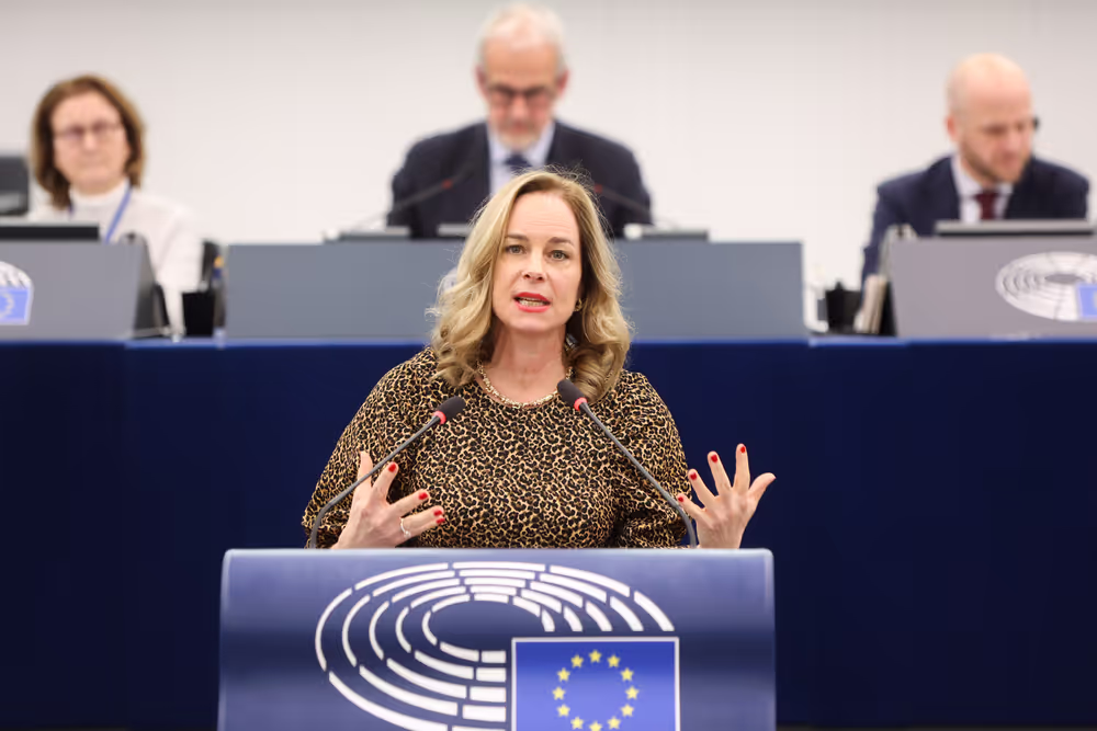 EP Plenary session - Heat record year 2024 - the need for climate action to fight global warming