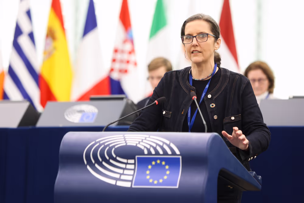 EP Plenary session - Heat record year 2024 - the need for climate action to fight global warming