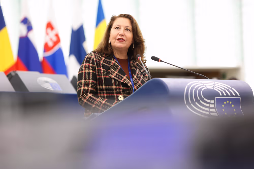 EP Plenary session - Heat record year 2024 - the need for climate action to fight global warming