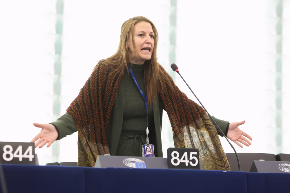 EP Plenary session - Heat record year 2024 - the need for climate action to fight global warming