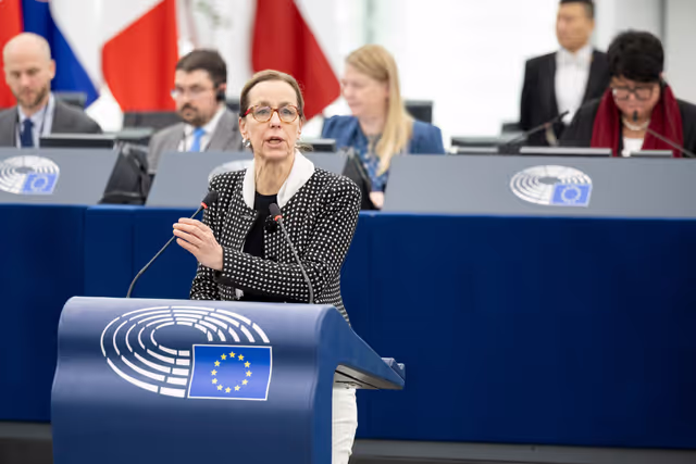 Photo 28: EP Plenary session - The need to enforce the Digital Services Act to protect democracy on social media platforms against foreign interference and biased algorithms