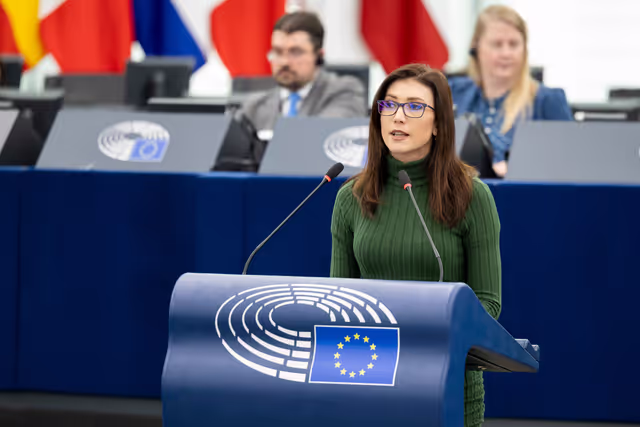 Photo 26: EP Plenary session - The need to enforce the Digital Services Act to protect democracy on social media platforms against foreign interference and biased algorithms