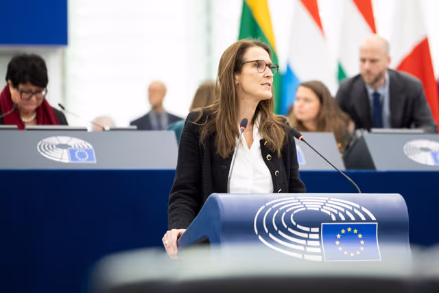 Photo 19: EP Plenary session - The need to enforce the Digital Services Act to protect democracy on social media platforms against foreign interference and biased algorithms