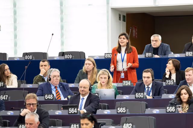 Photo 6: EP Plenary session - The need to enforce the Digital Services Act to protect democracy on social media platforms against foreign interference and biased algorithms
