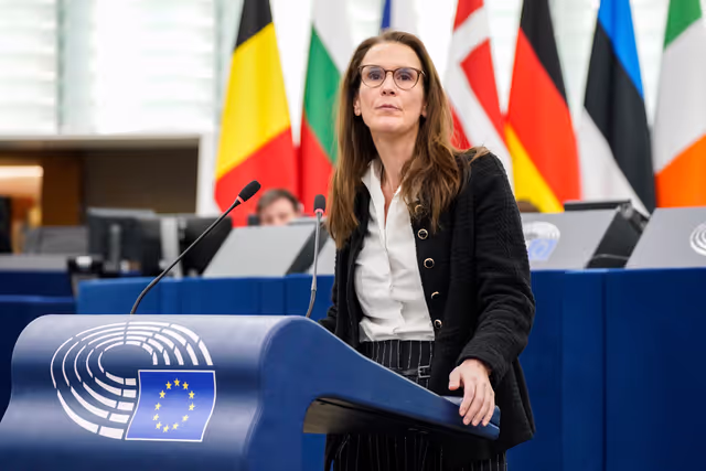 Photo 47: EP Plenary session - The need to enforce the Digital Services Act to protect democracy on social media platforms against foreign interference and biased algorithms