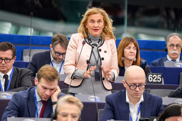 Photo 33: EP Plenary session - The need to enforce the Digital Services Act to protect democracy on social media platforms against foreign interference and biased algorithms