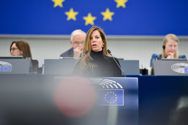 Fotagrafa 22: EP Plenary session - Situation in Venezuela following the usurpation of the presidency on 10 January 2025