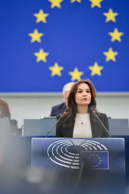 Fotagrafa 21: EP Plenary session - Situation in Venezuela following the usurpation of the presidency on 10 January 2025