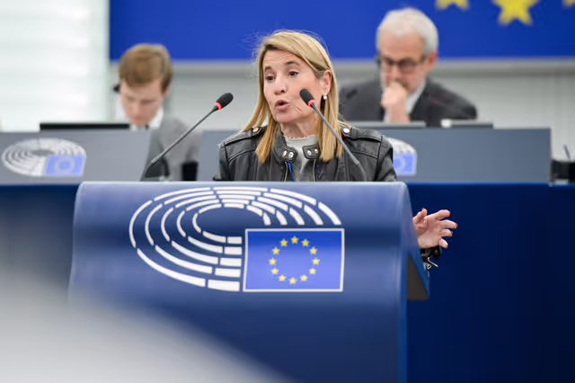 Fotagrafa 4: EP Plenary session - Situation in Venezuela following the usurpation of the presidency on 10 January 2025
