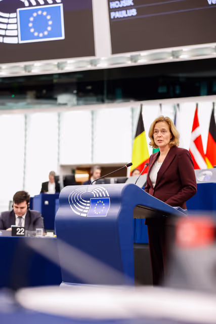 Photo 14: EP Plenary session - Failure of the negotiations in Busan for a UN plastic treaty and the urgent need to tackle plastic pollution at international and Union level