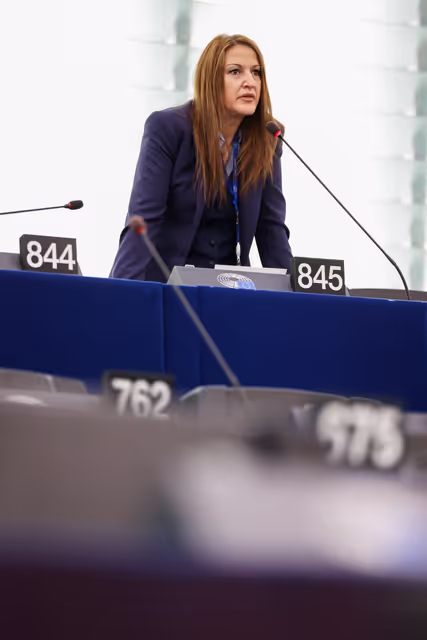EP Plenary session - Failure of the negotiations in Busan for a UN plastic treaty and the urgent need to tackle plastic pollution at international and Union level