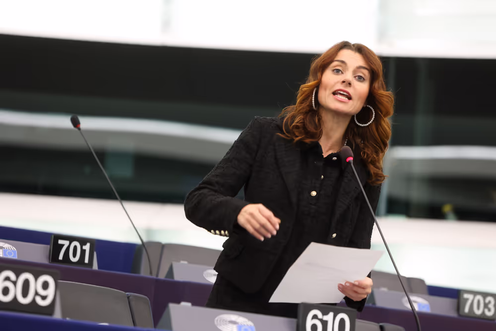EP Plenary session - Links between organised crime and smuggling of migrants in light of the recent UN reports