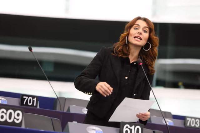 EP Plenary session - Links between organised crime and smuggling of migrants in light of the recent UN reports