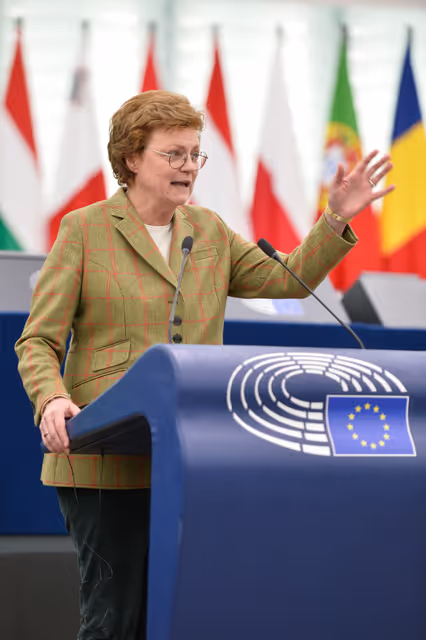 Φωτογραφία 35: EP Plenary session - EU financing through the LIFE programme of entities lobbying EU institutions and the need for transparency