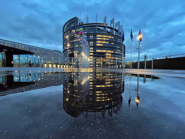 Fotografija 7: Strasbourg's Plenary session through the lens - Week 4