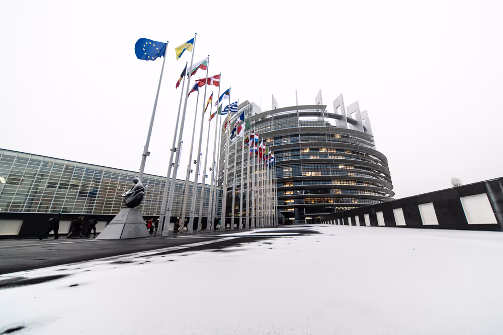 Strasbourg's Plenary session through the lens - Week 4