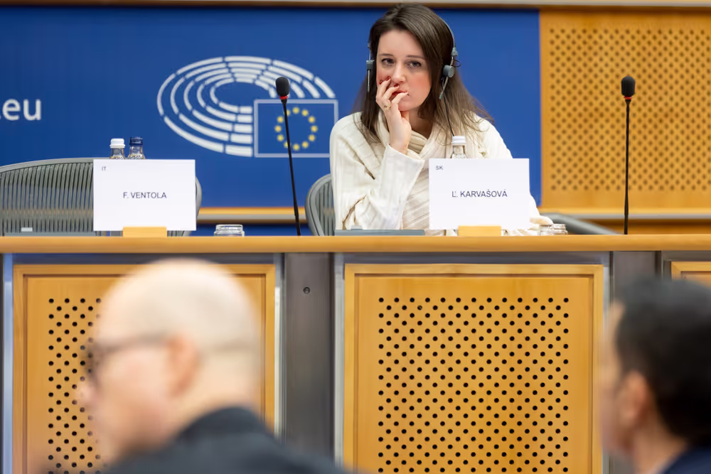 REGI - A revamped long-term budget for the Union in a changing world