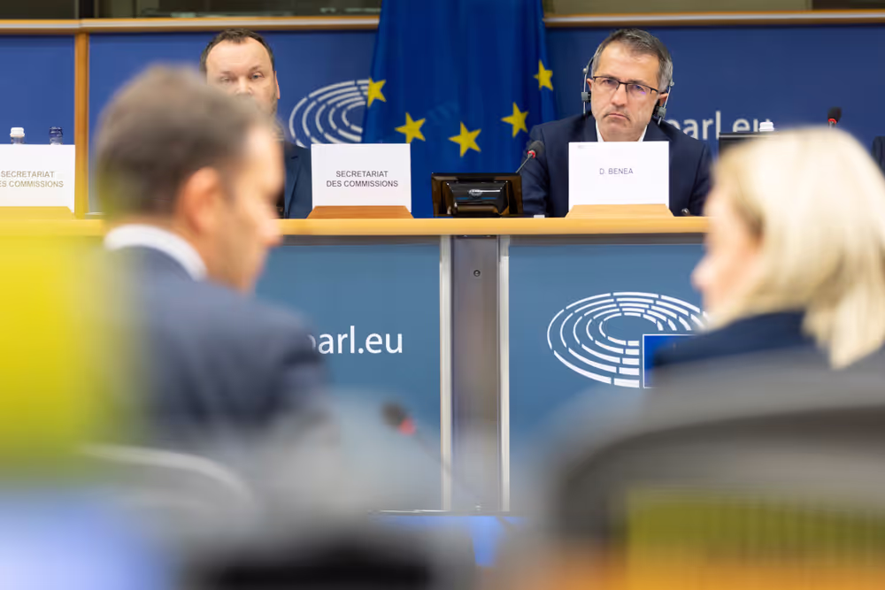 REGI - A revamped long-term budget for the Union in a changing world