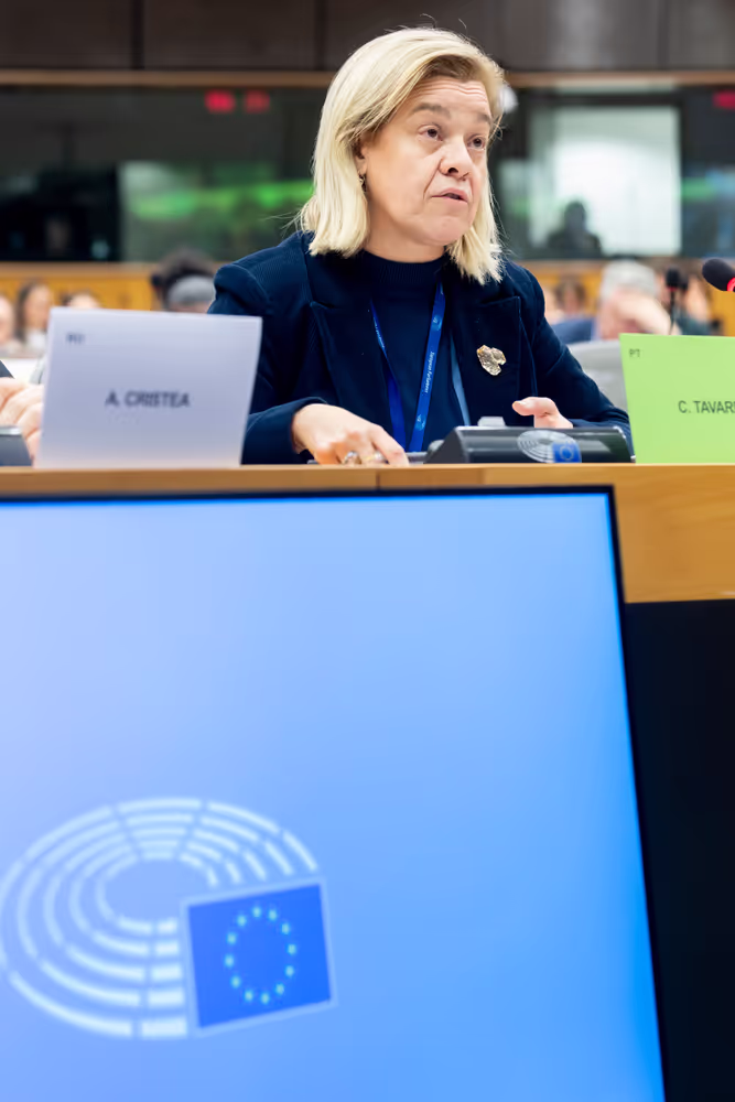 REGI - A revamped long-term budget for the Union in a changing world