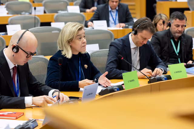 Photo 19: REGI - A revamped long-term budget for the Union in a changing world