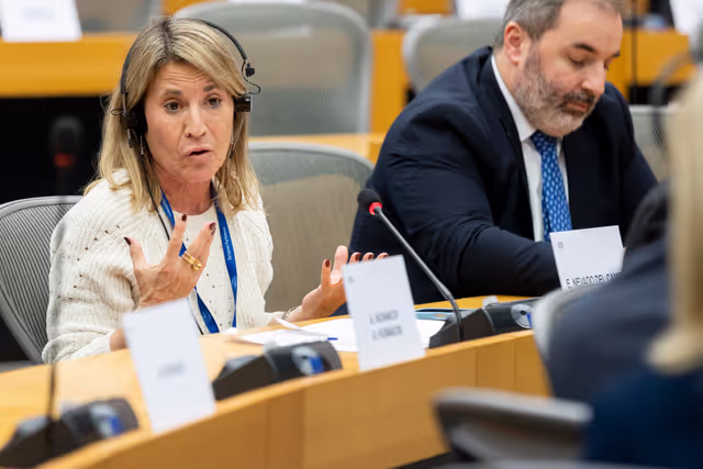 Photo 17: REGI - A revamped long-term budget for the Union in a changing world