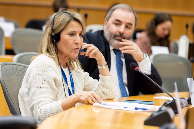 Photo 18: REGI - A revamped long-term budget for the Union in a changing world