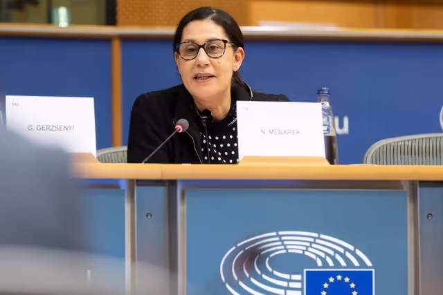 Photo 15: REGI - A revamped long-term budget for the Union in a changing world