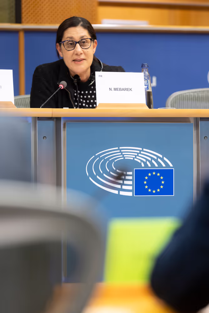 REGI - A revamped long-term budget for the Union in a changing world